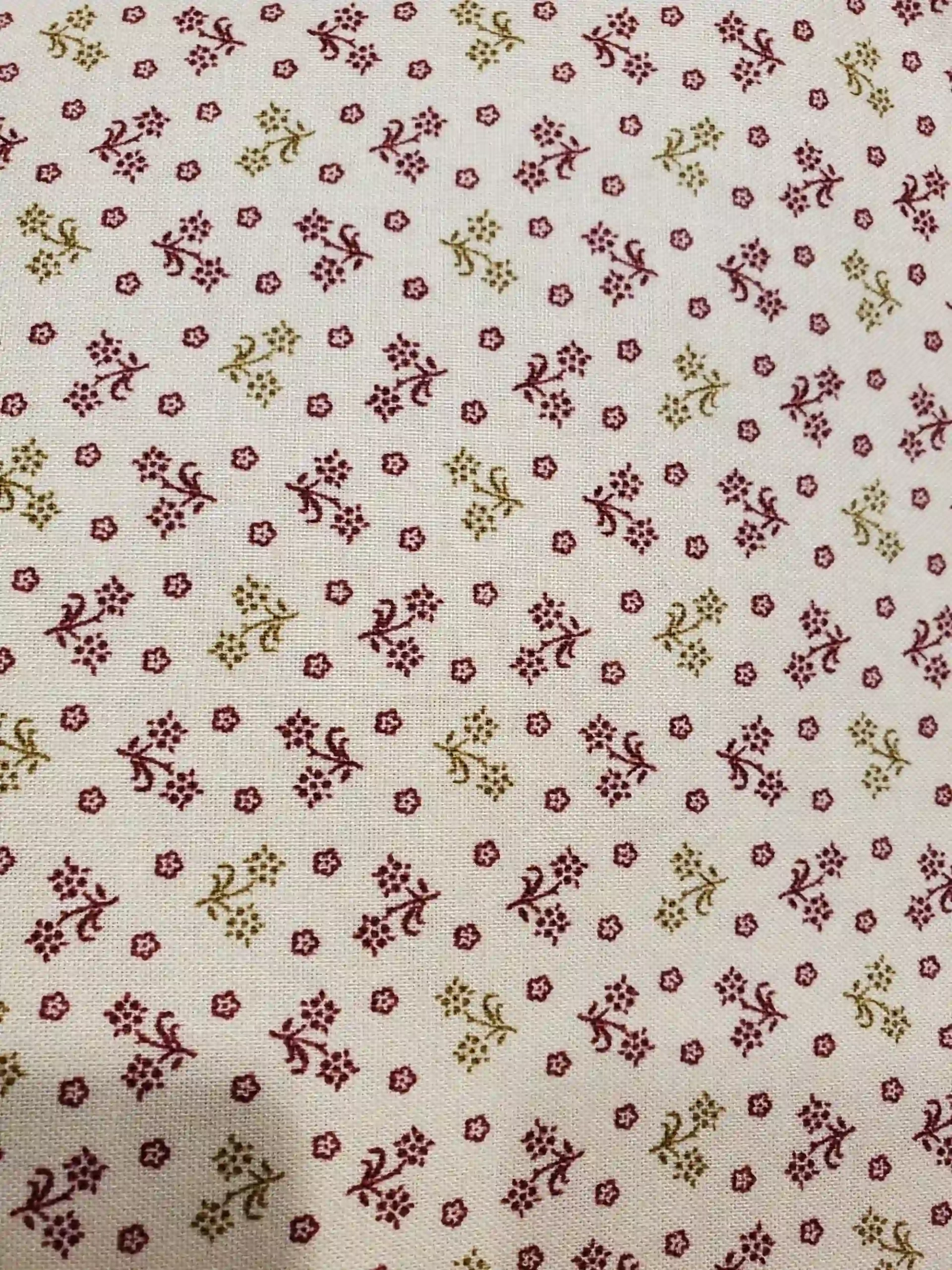 504305576_1164524075479220_3815271891291000115_n
