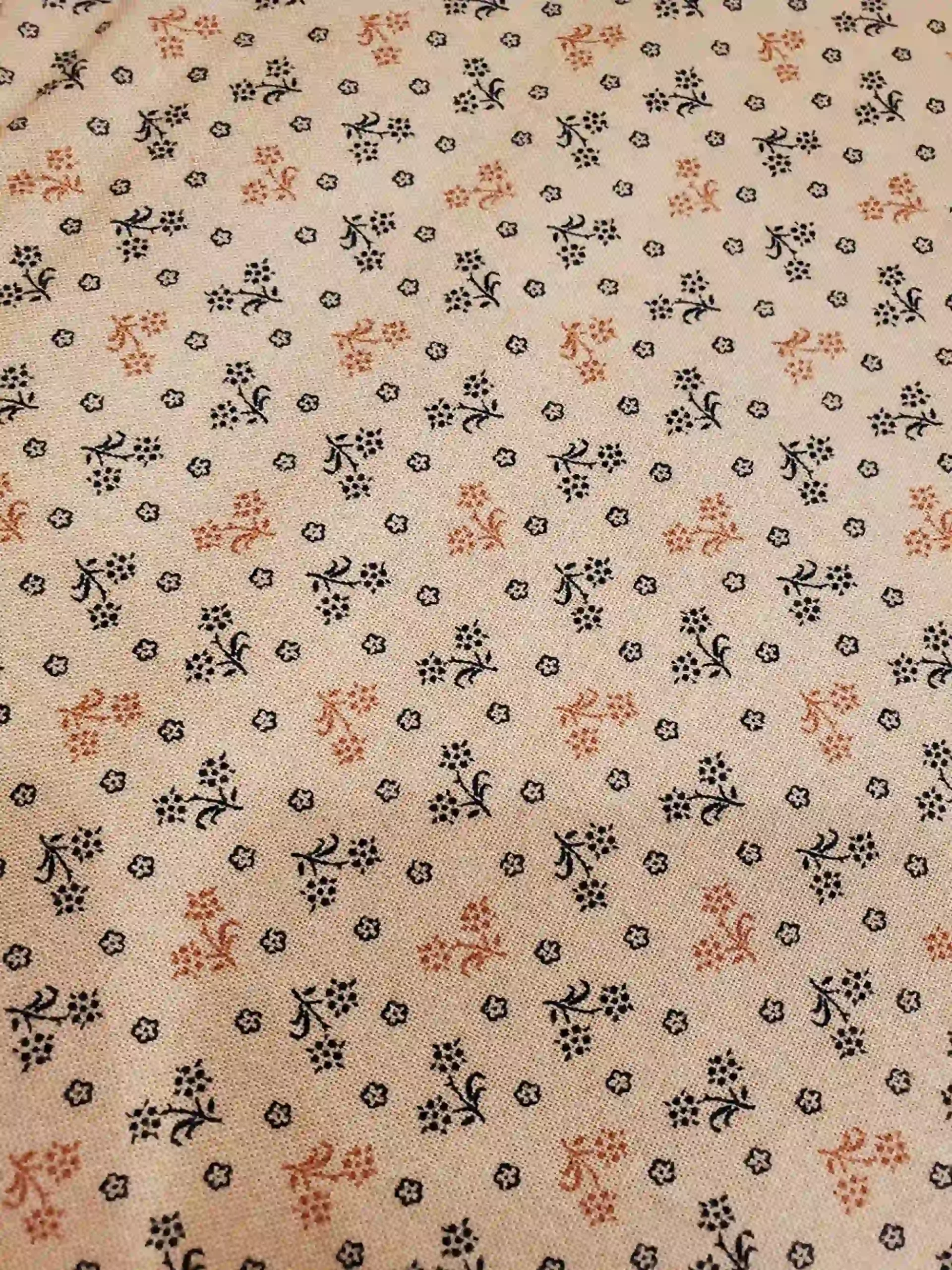 504636149_1164524255479202_6957599632212996791_n