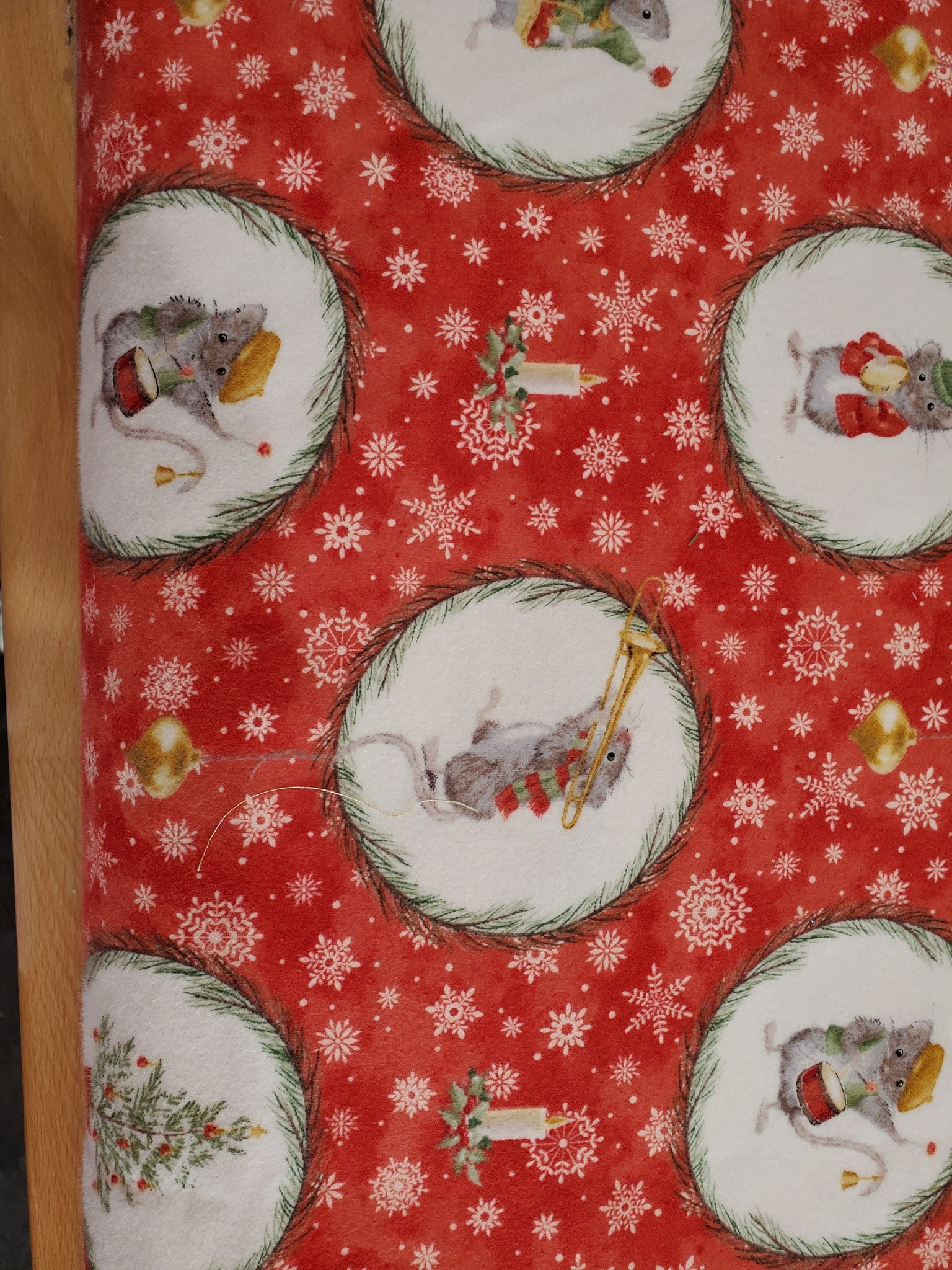 553648306_1251696456761981_553696038516816996_n