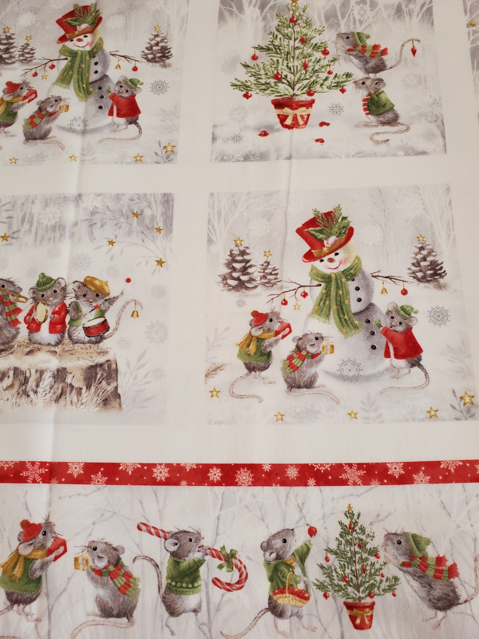 553765983_1251696476761979_2194503012720326_n