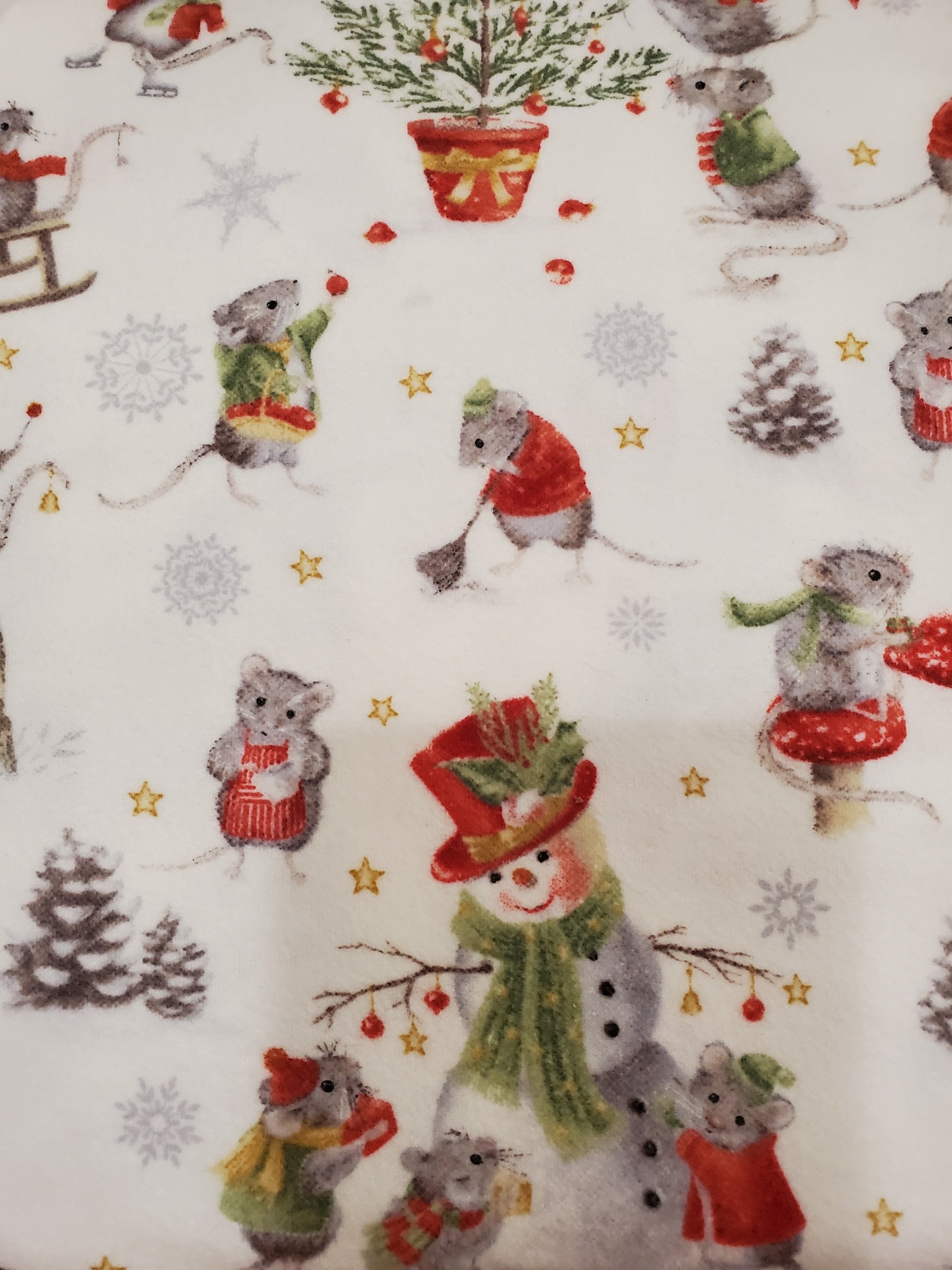 554237013_1251696403428653_993341444580138702_n