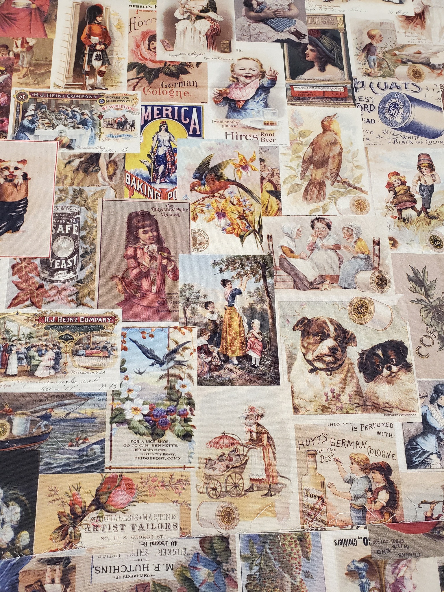 554946937_1251696320095328_1094534260144212153_n