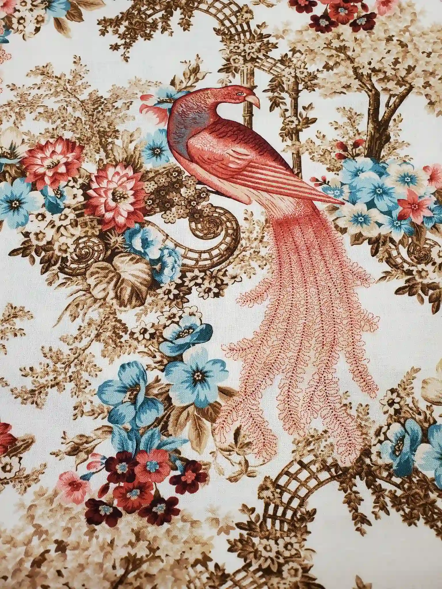 571420016_1281967523734874_1534353882176369226_n