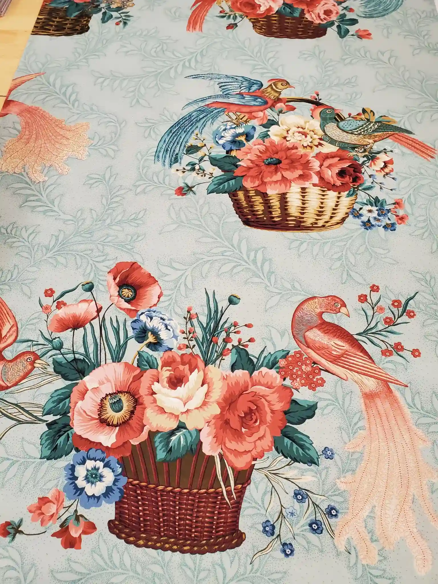 572015165_1281967567068203_2617827105966913930_n