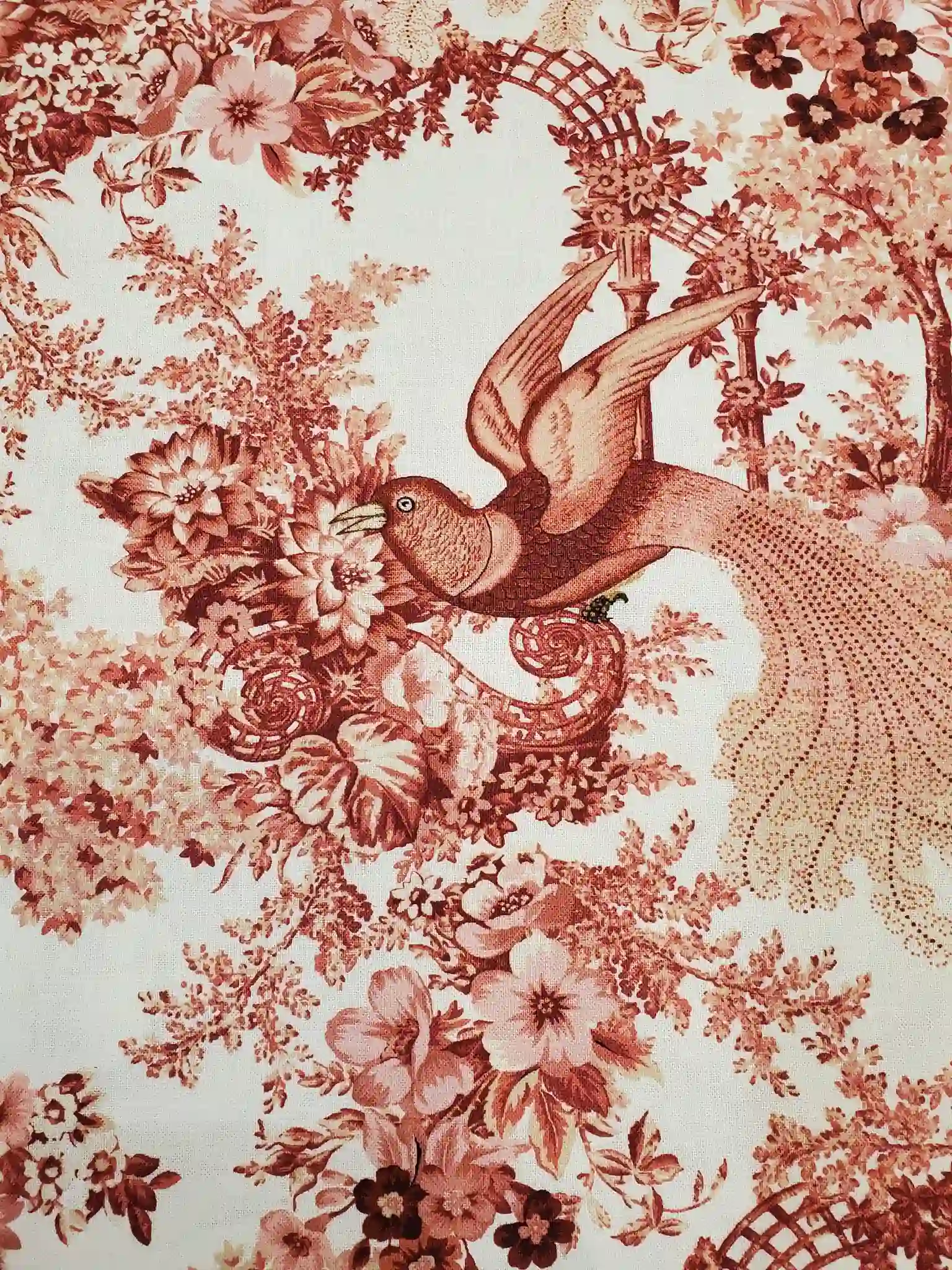 572046776_1281968043734822_2140767414853874729_n