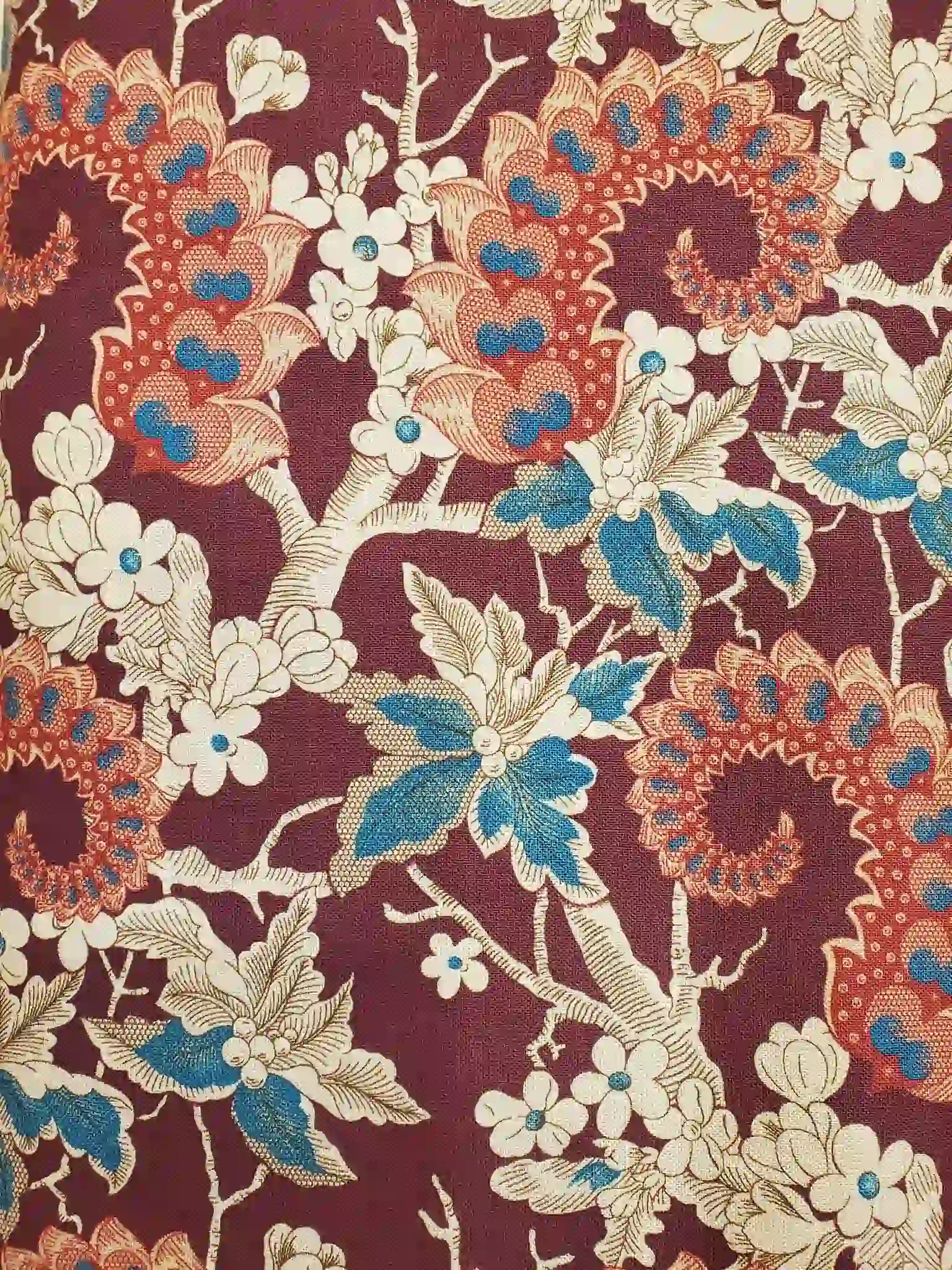 574276923_1281967717068188_20511289049539575_n